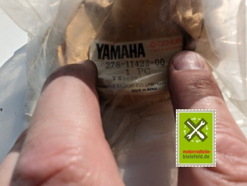 PXL_20240523_152745724